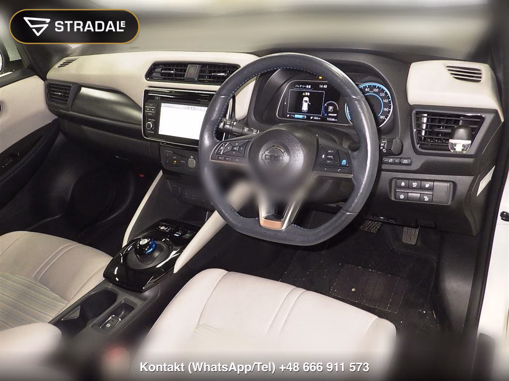 NISSAN LEAF X 10 THOUSAND UNITS MEMORIAL CAR, miniaturka 4