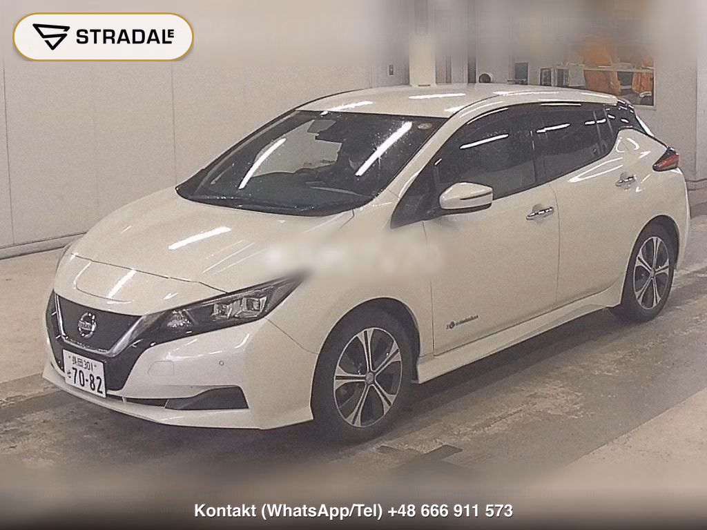NISSAN LEAF X 10 THOUSAND UNITS MEMORIAL CAR, miniaturka 5