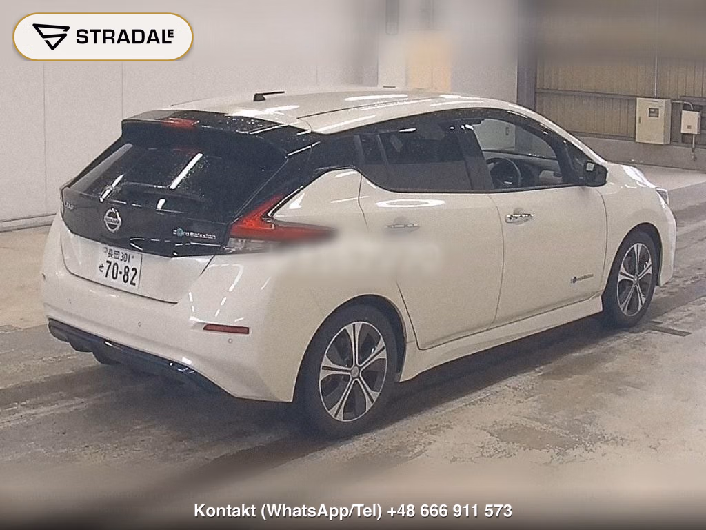 NISSAN LEAF X 10 THOUSAND UNITS MEMORIAL CAR, miniaturka 6