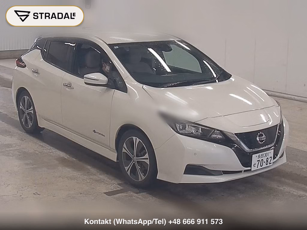 NISSAN LEAF X 10 THOUSAND UNITS MEMORIAL CAR 2018, aukcja z Japonii, zdjęcie 1