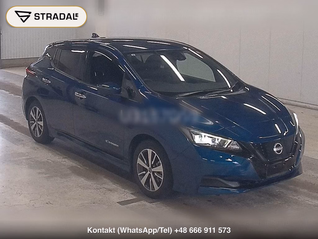 NISSAN LEAF X, miniaturka 2