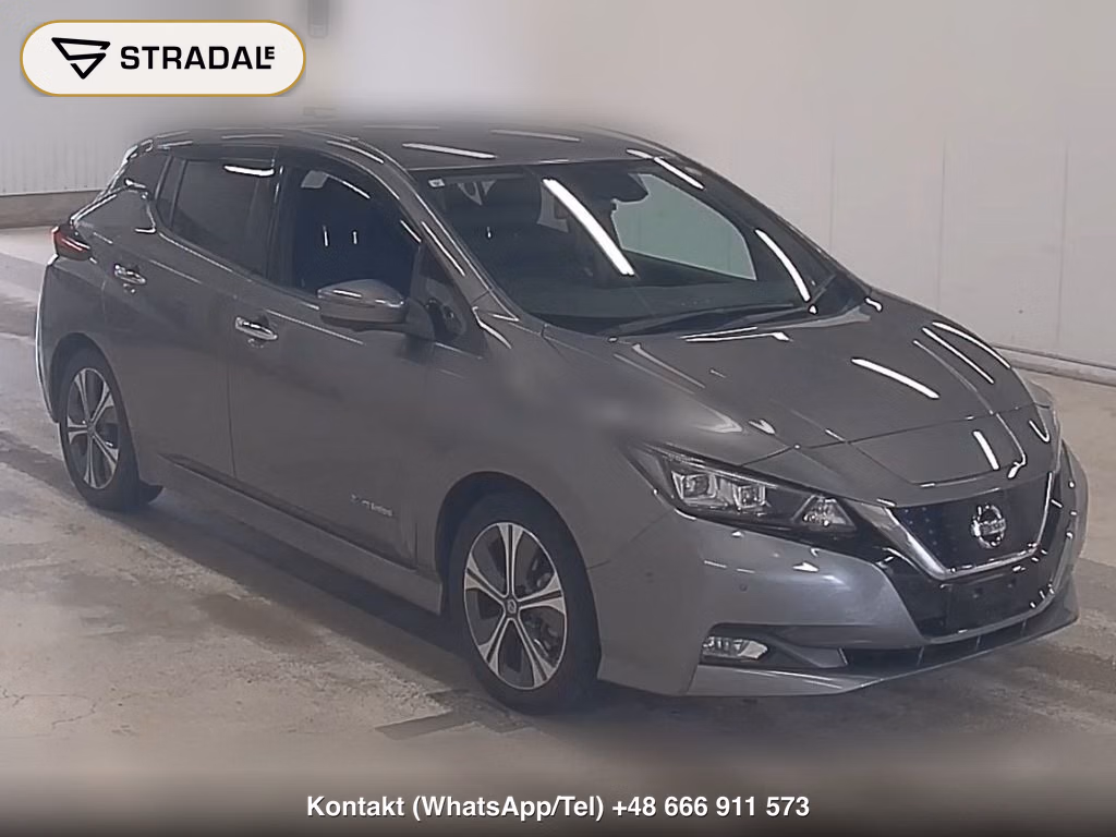 NISSAN LEAF G 2019, aukcja z Japonii, zdjęcie 1