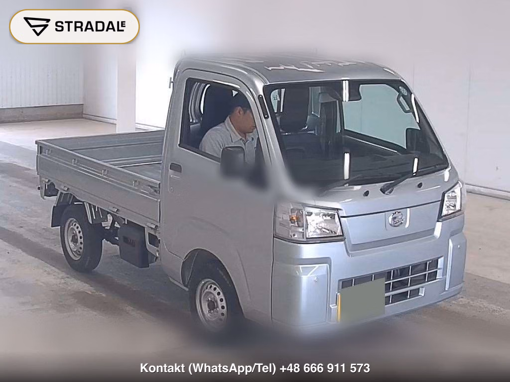 DAIHATSU HIJET TRUCK 4WD STANDARD 1994, aukcja z Japonii, zdjęcie 1