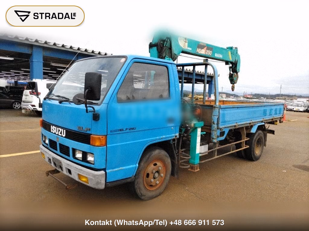 ISUZU ELF TRUCK 2D CRANE, miniaturka 4
