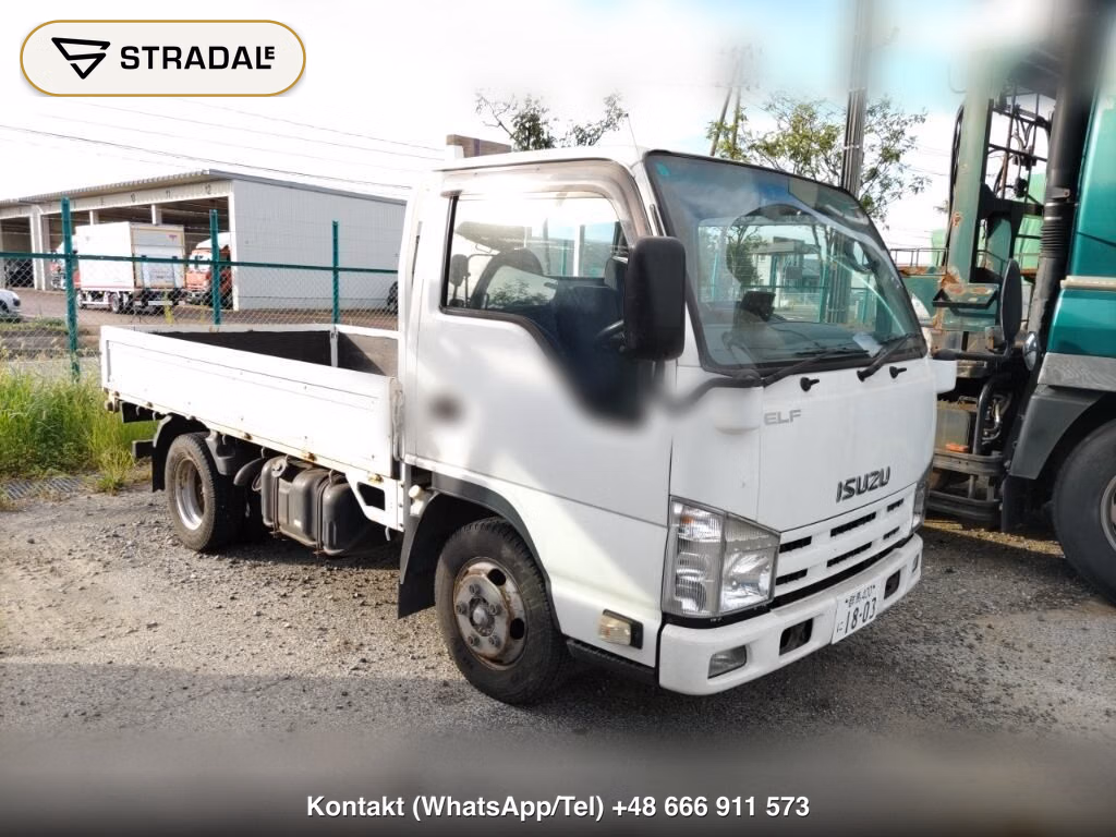ISUZU ELF TRUCK 2010, aukcja z Japonii, zdjęcie 1