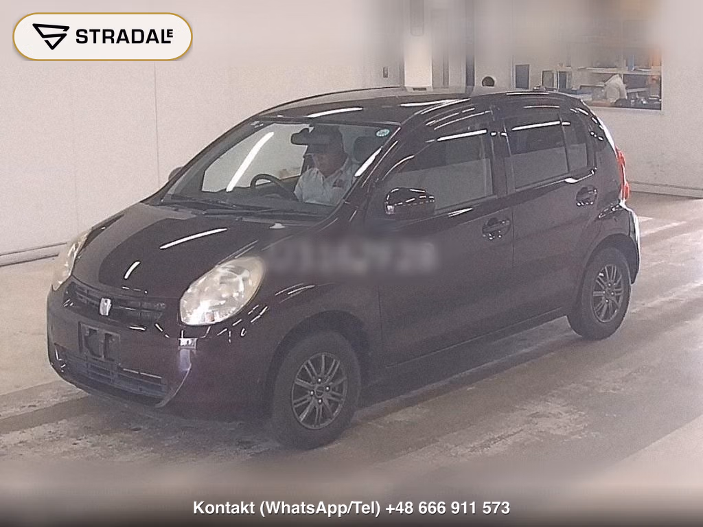 TOYOTA PASSO X KUTSUROGI, miniaturka 5