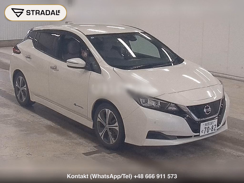 NISSAN LEAF X 10 THOUSAND UNITS MEMORIAL CAR, miniaturka 2