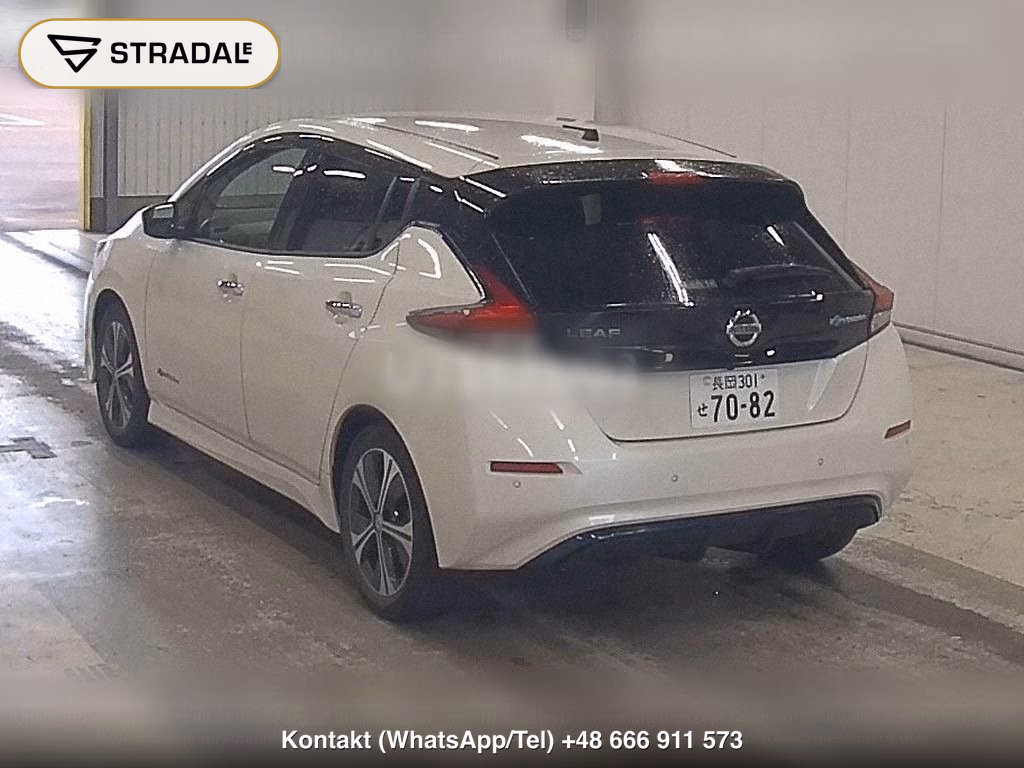 NISSAN LEAF X 10 THOUSAND UNITS MEMORIAL CAR, miniaturka 3