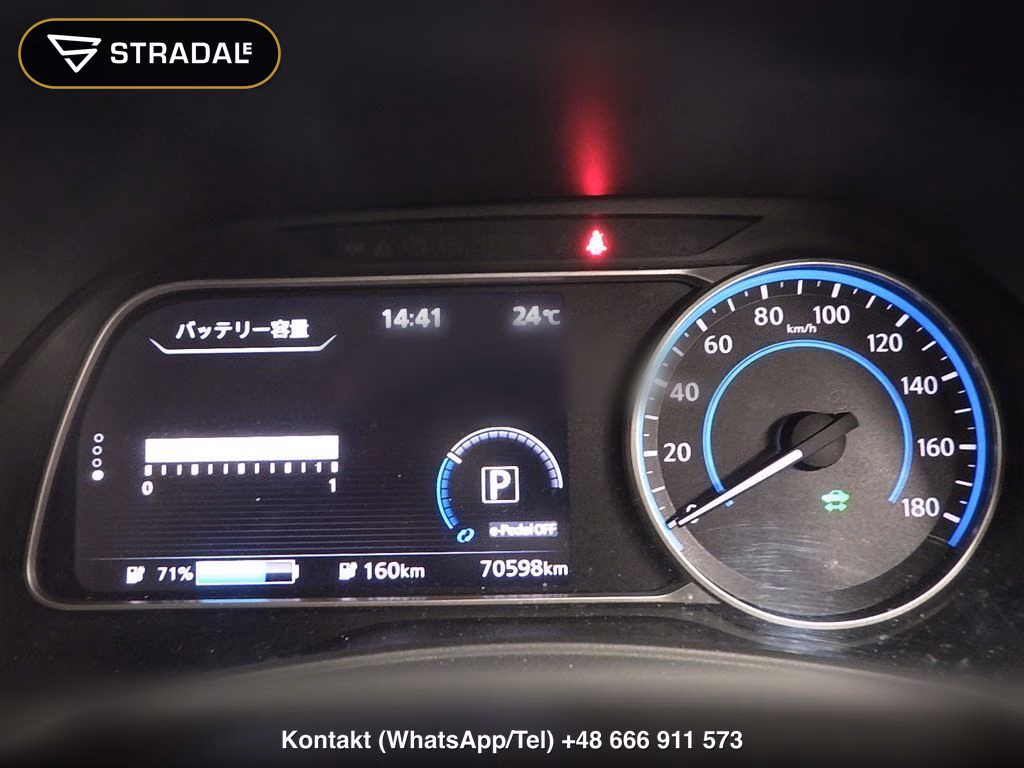 NISSAN LEAF X 10 THOUSAND UNITS MEMORIAL CAR, miniaturka 7
