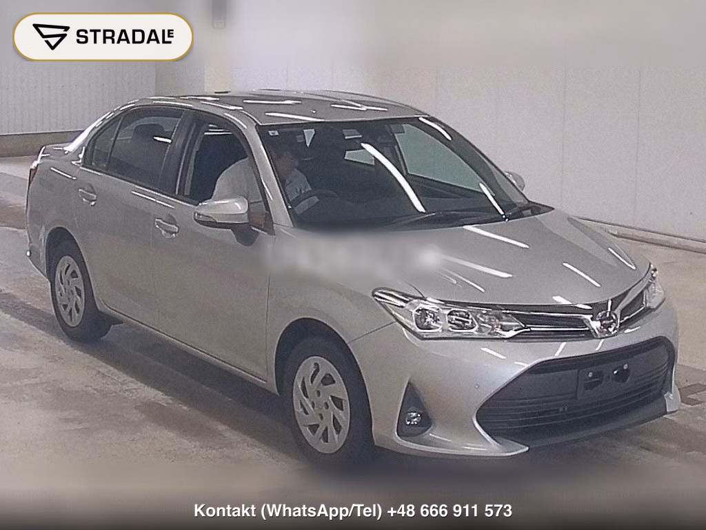TOYOTA COROLLA AXIO 4WD EX, miniaturka 2