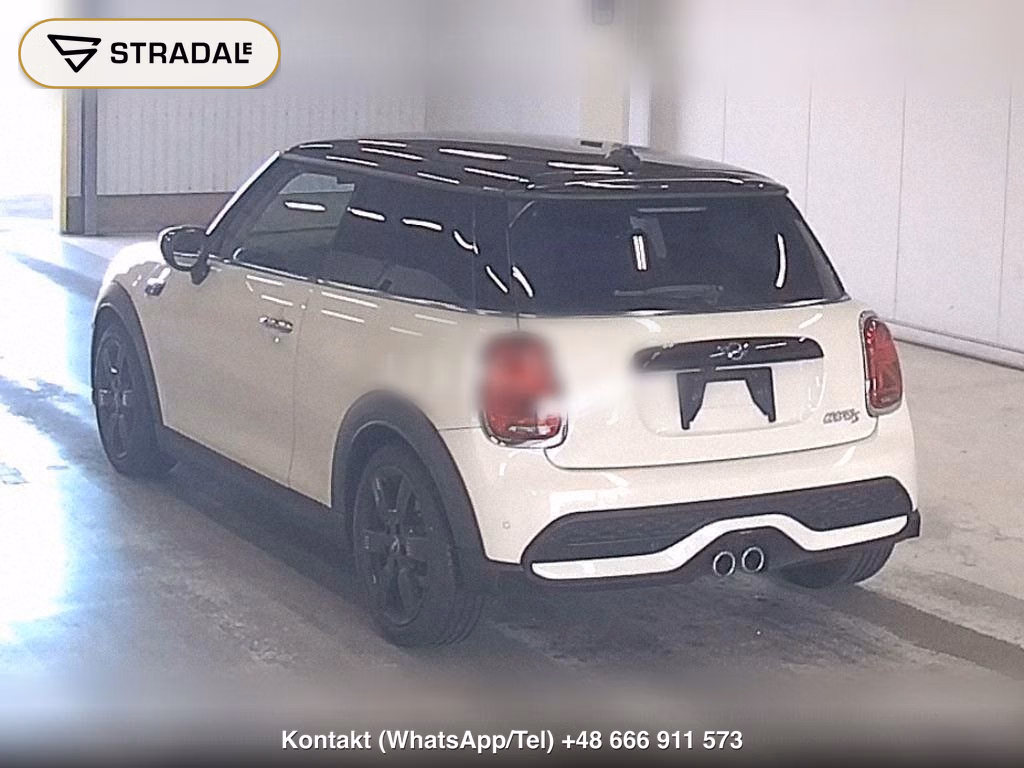 MINI MINI 3D COOPER S, miniaturka 3
