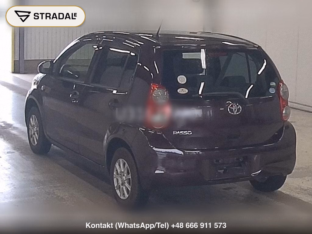 TOYOTA PASSO X KUTSUROGI, miniaturka 3