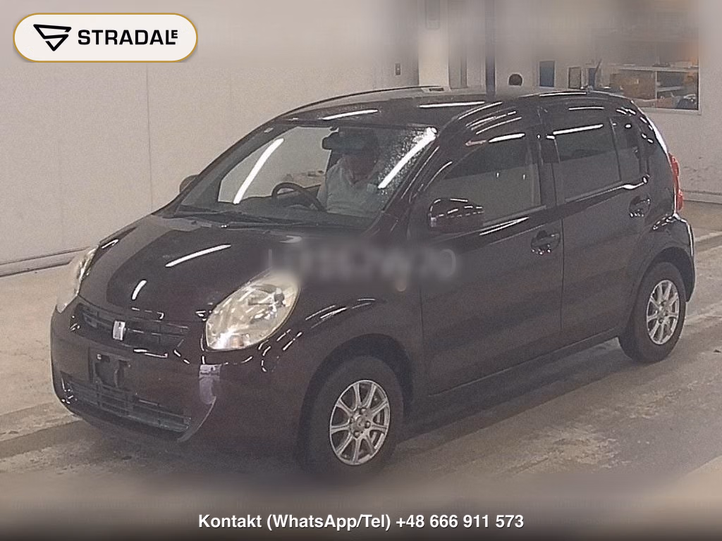 TOYOTA PASSO X KUTSUROGI, miniaturka 5