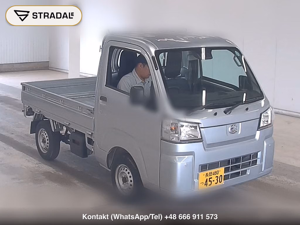 DAIHATSU HIJET TRUCK 4WD STANDARD 1994, aukcja z Japonii, zdjęcie 1