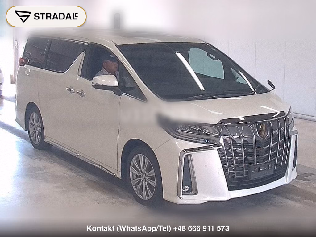 TOYOTA ALPHARD 2.5S TYPE GOLD, miniaturka 2