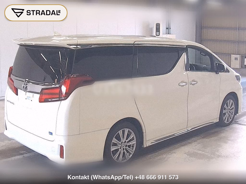 TOYOTA ALPHARD 2.5S TYPE GOLD, miniaturka 6