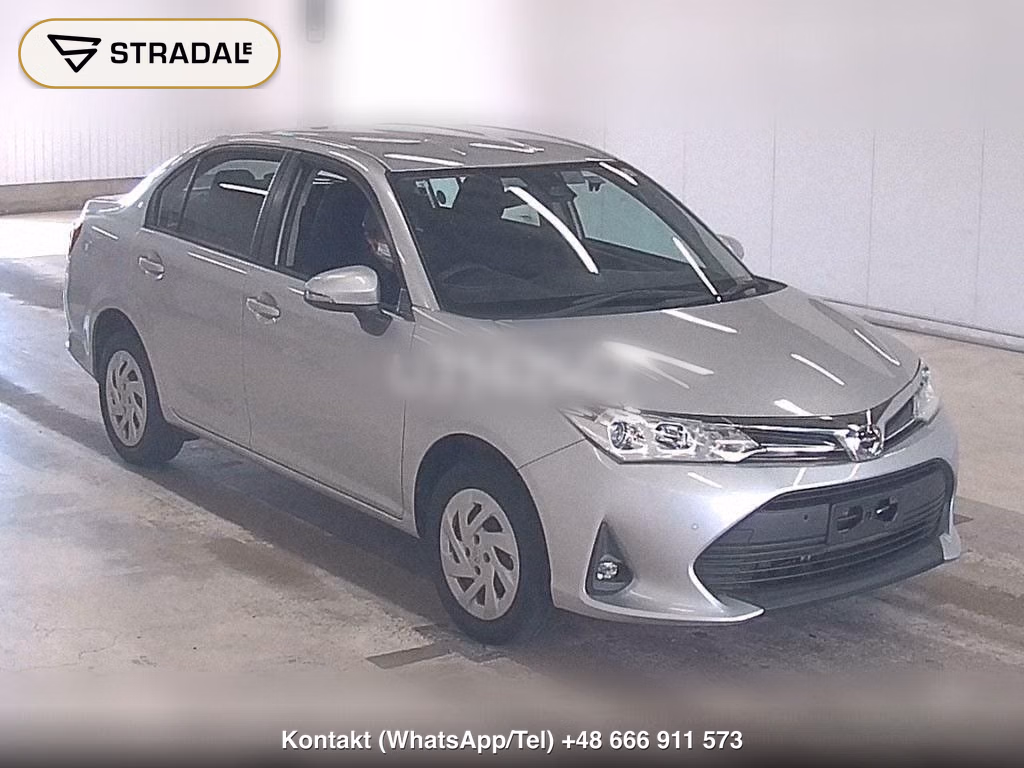 TOYOTA COROLLA AXIO 4WD EX, miniaturka 2
