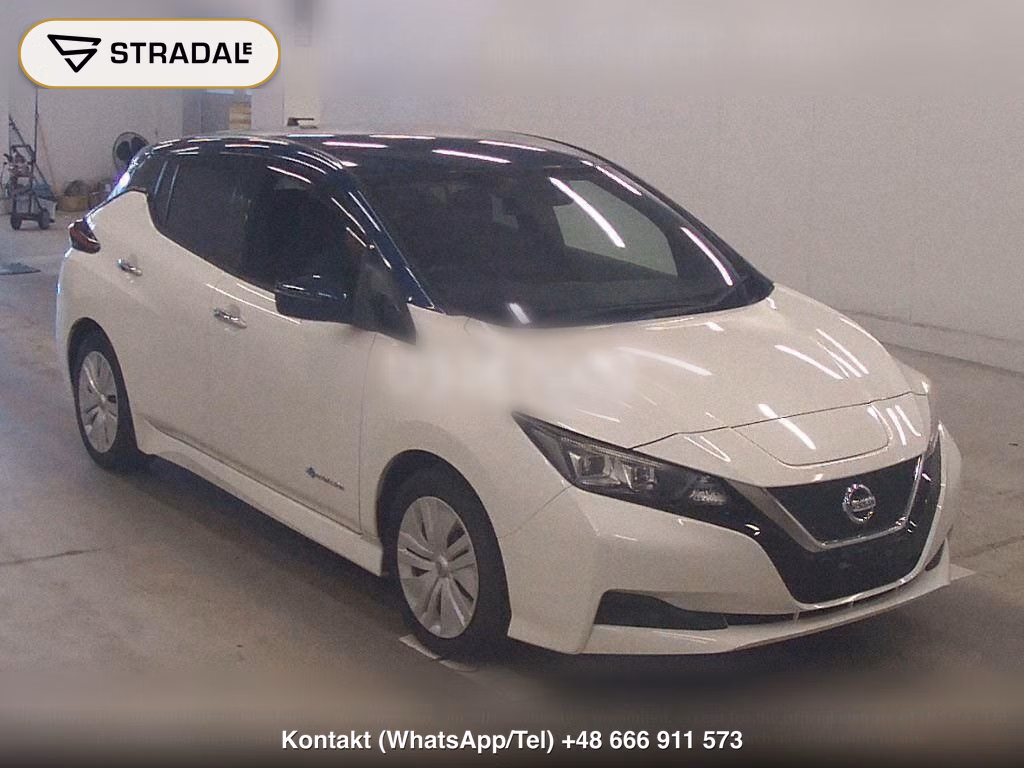 NISSAN LEAF X, miniaturka 2