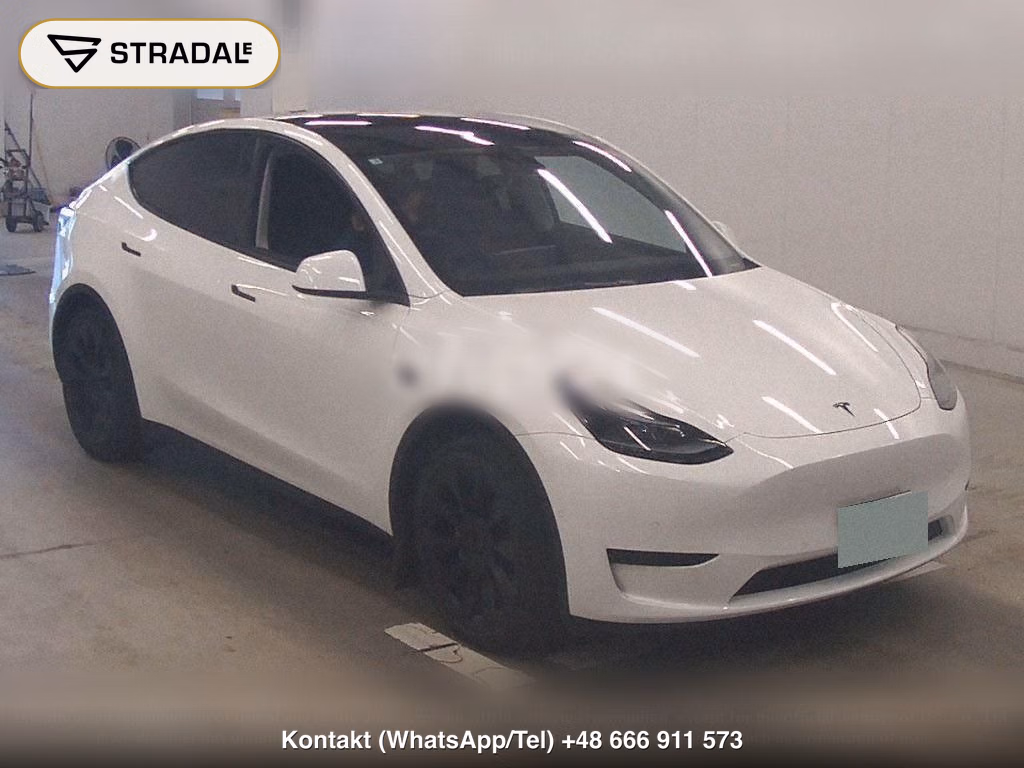 TESLA MODEL Y RWD, miniaturka 2