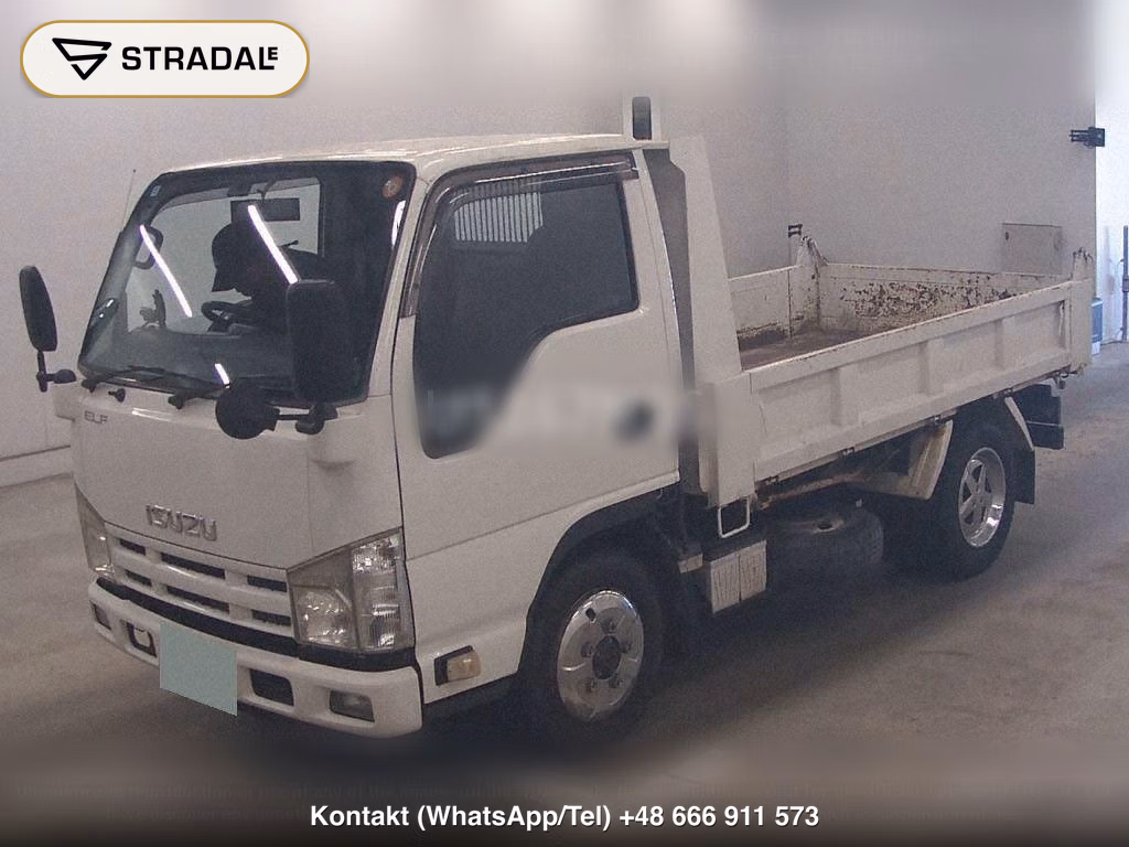 ISUZU ELF TRUCK 2D 4WD DUMP LOW DECK, miniaturka 5
