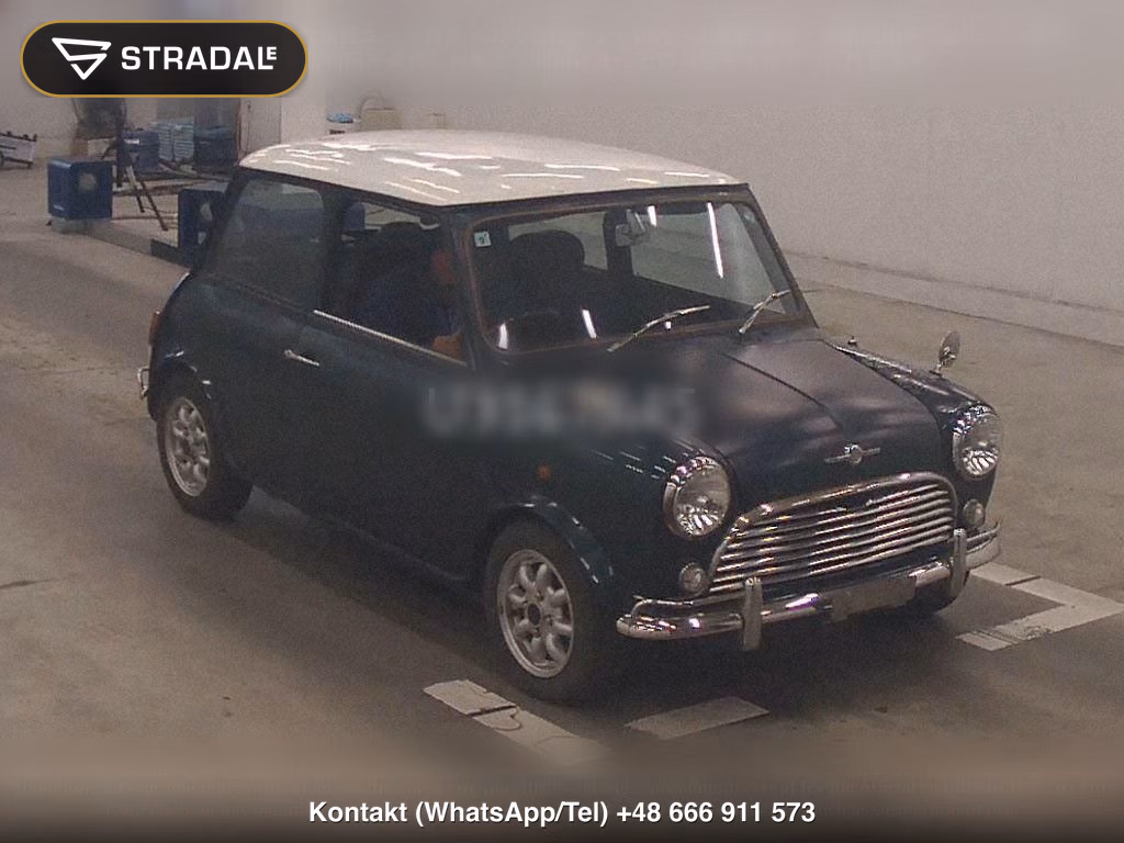 ROVER MINI 2D, miniaturka 2