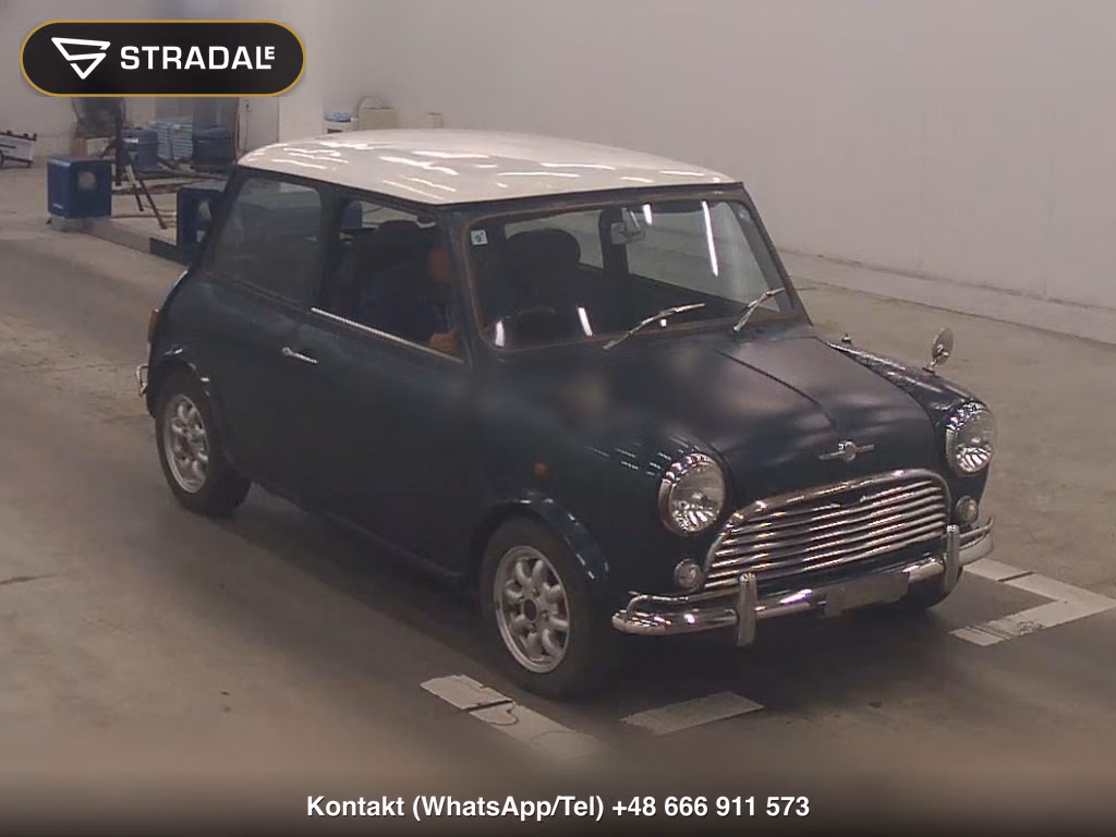 ROVER MINI 2D 1994, aukcja z Japonii, zdjęcie 1