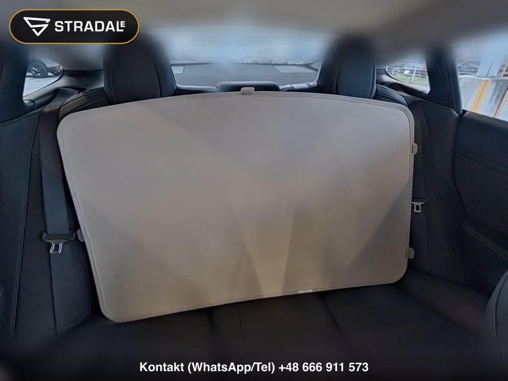 TESLA MODEL 3 STANDARD RANGE PLUS, miniaturka 7
