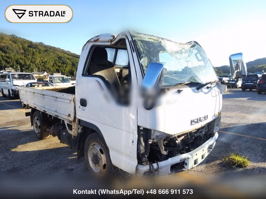 ISUZU ELF TRUCK 2D 4WD, miniaturka 2