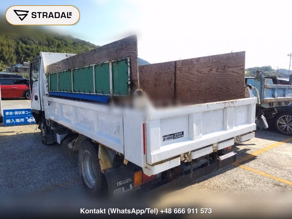 ISUZU ELF TRUCK DUMP, miniaturka 3