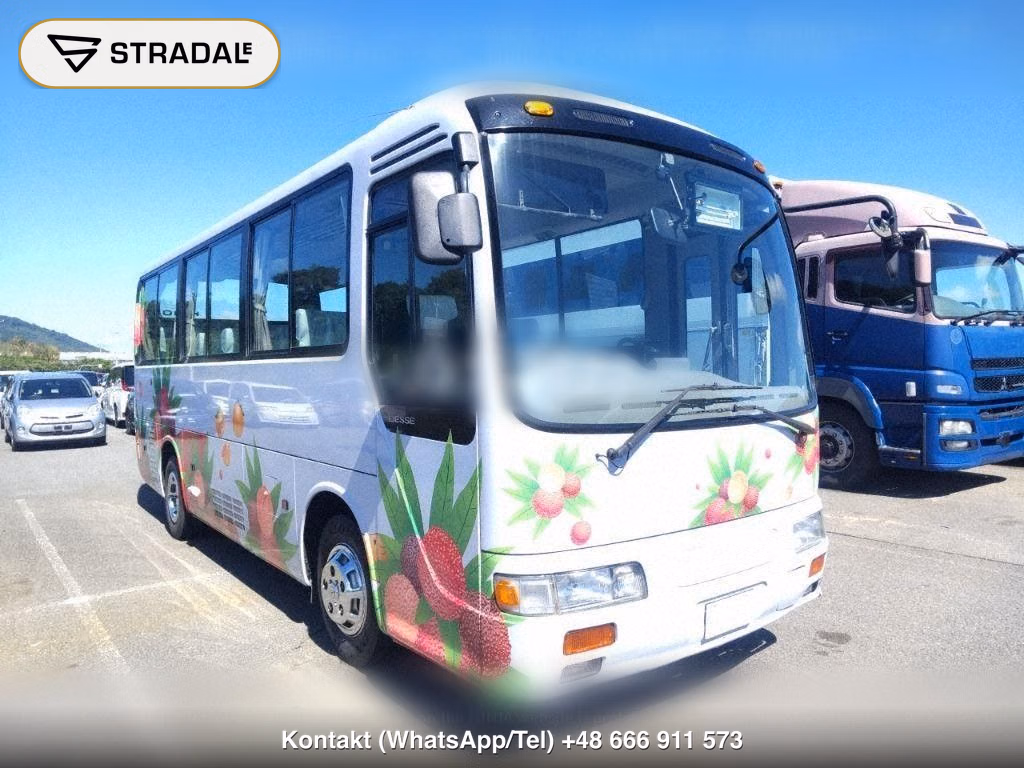 HINO LIESSE 2D, miniaturka 2