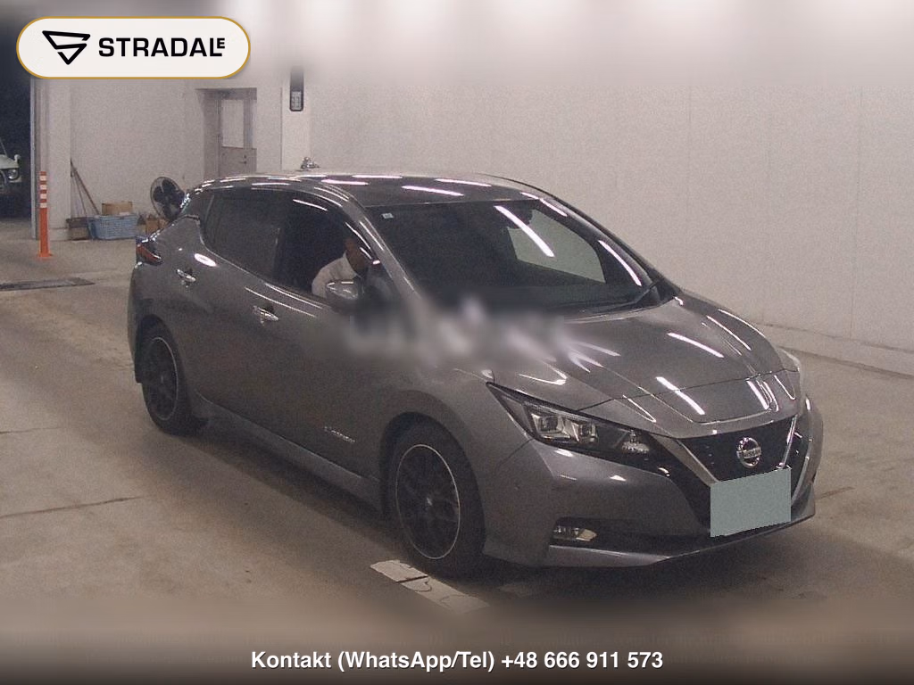 NISSAN LEAF, miniaturka 2