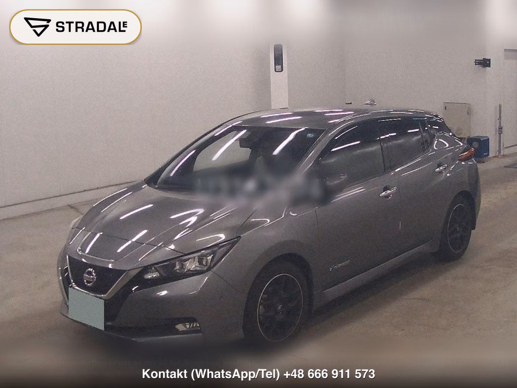 NISSAN LEAF, miniaturka 5