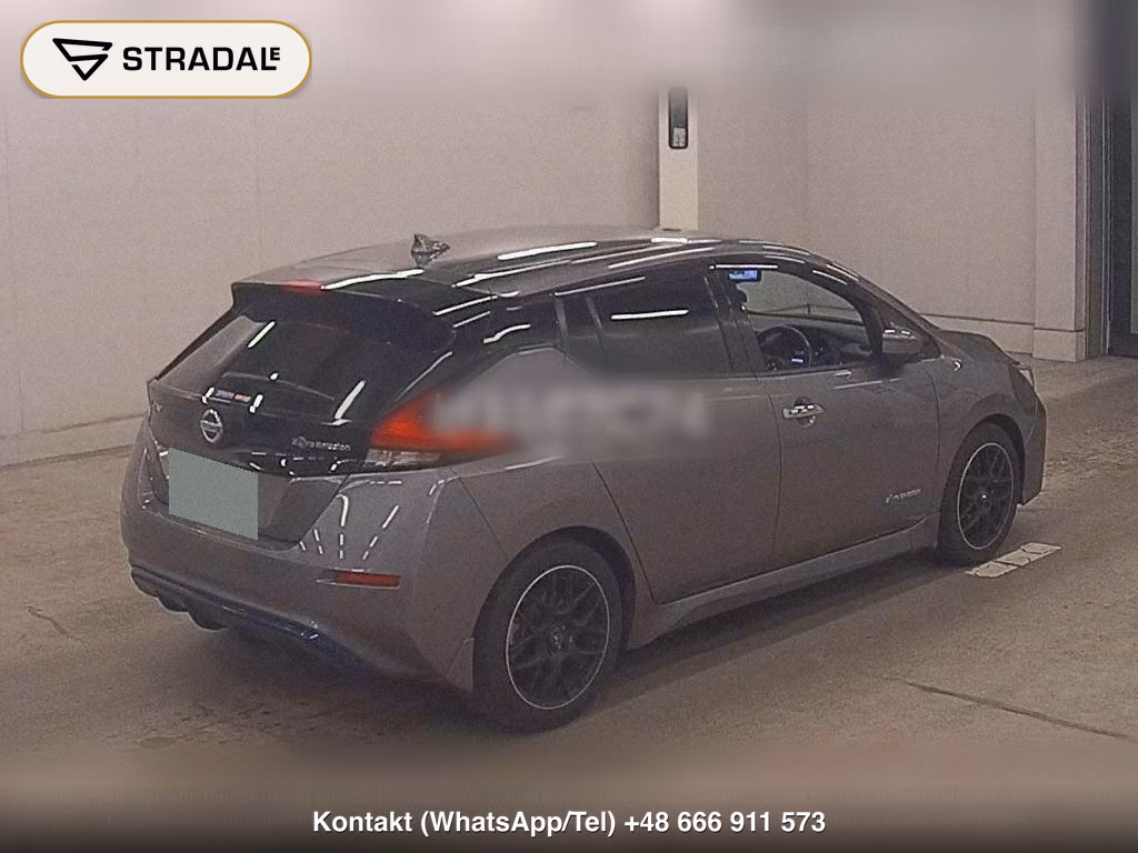 NISSAN LEAF, miniaturka 6