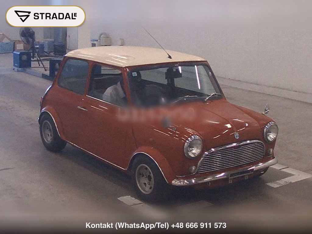 ROVER MINI 2D, miniaturka 2