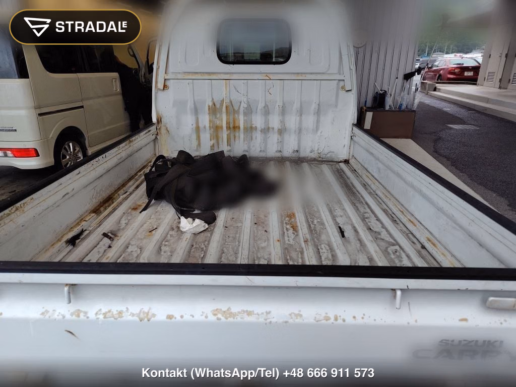 SUZUKI CARRY TRUCK, miniaturka 7