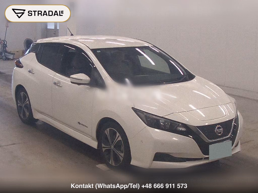 NISSAN LEAF X, miniaturka 2