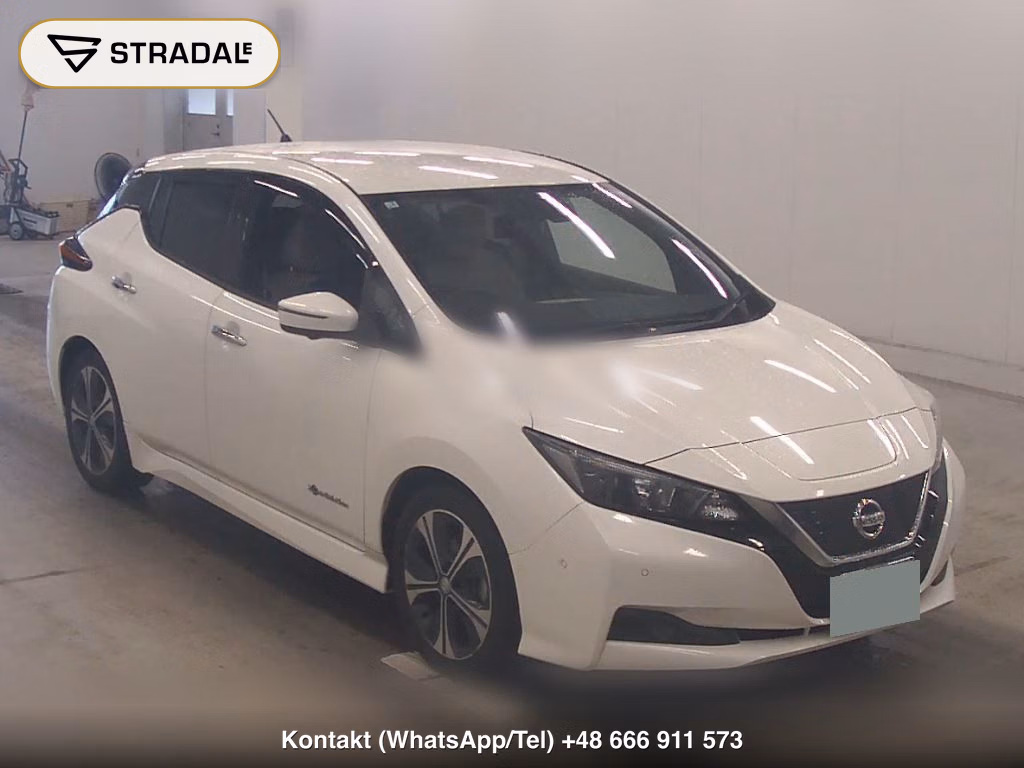 NISSAN LEAF X 2019, aukcja z Japonii, zdjęcie 1