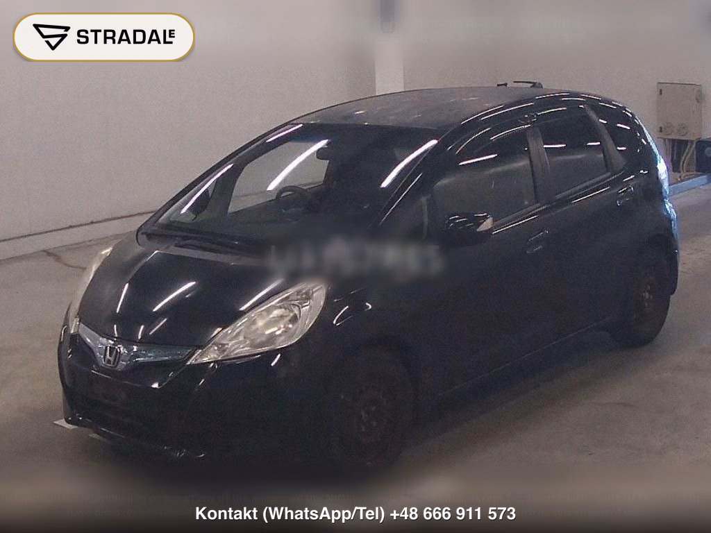 HONDA FIT HYBRID HYBRID･10TH ANNIVERSARY, miniaturka 5