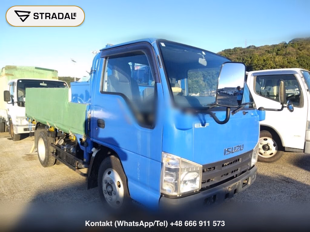 ISUZU ELF TRUCK 2D OTHERS 2008, aukcja z Japonii, zdjęcie 1
