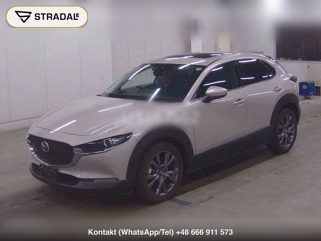 MAZDA CX-30 4WD X L PACKAGE, miniaturka 5
