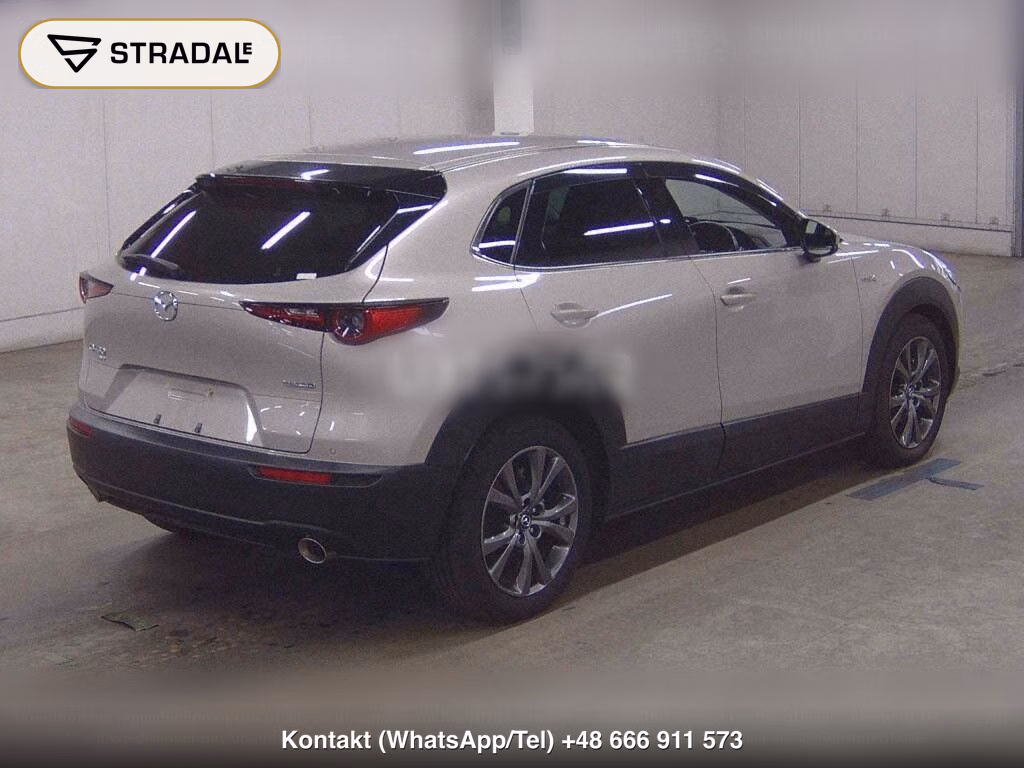 MAZDA CX-30 4WD X L PACKAGE, miniaturka 6