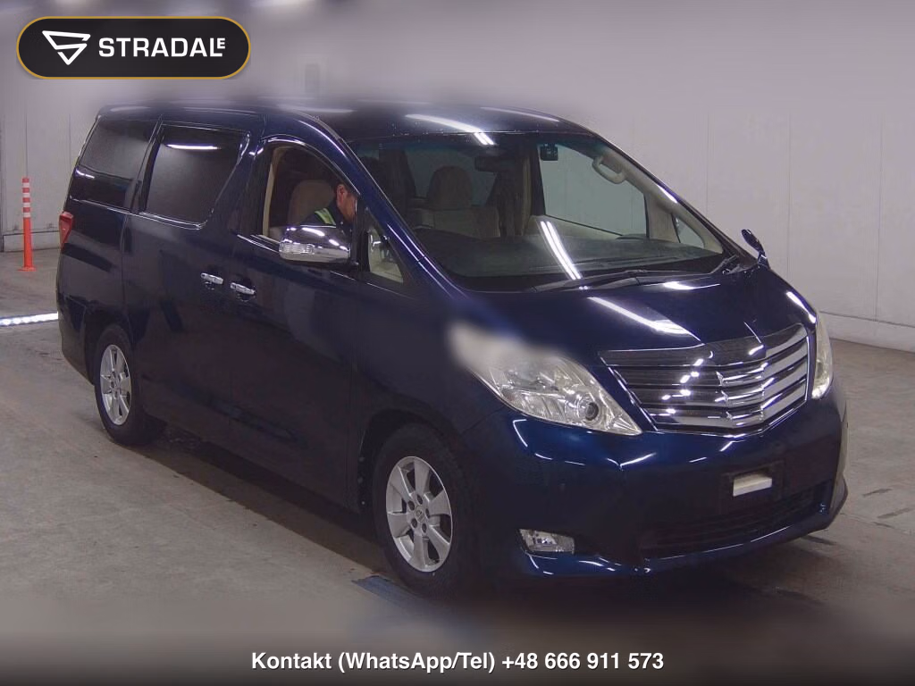 TOYOTA ALPHARD OTHERS 2010, aukcja z Japonii, zdjęcie 1