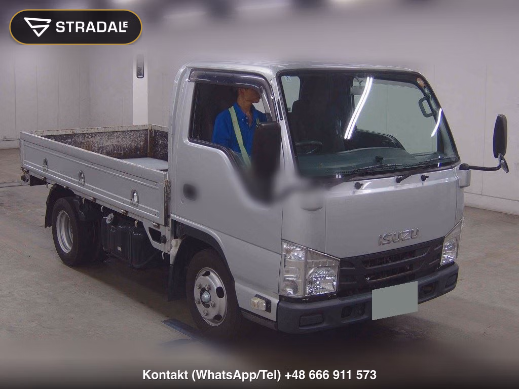 ISUZU ELF TRUCK 2D 2019, aukcja z Japonii, zdjęcie 1
