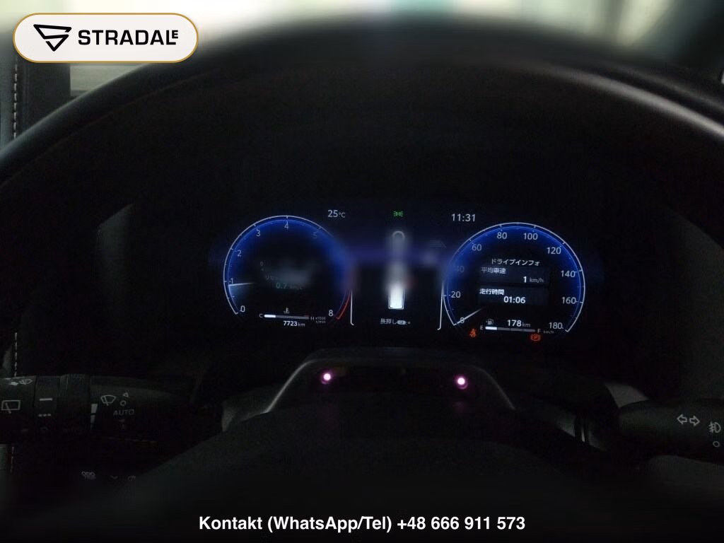 TOYOTA ALPHARD Z, miniaturka 7