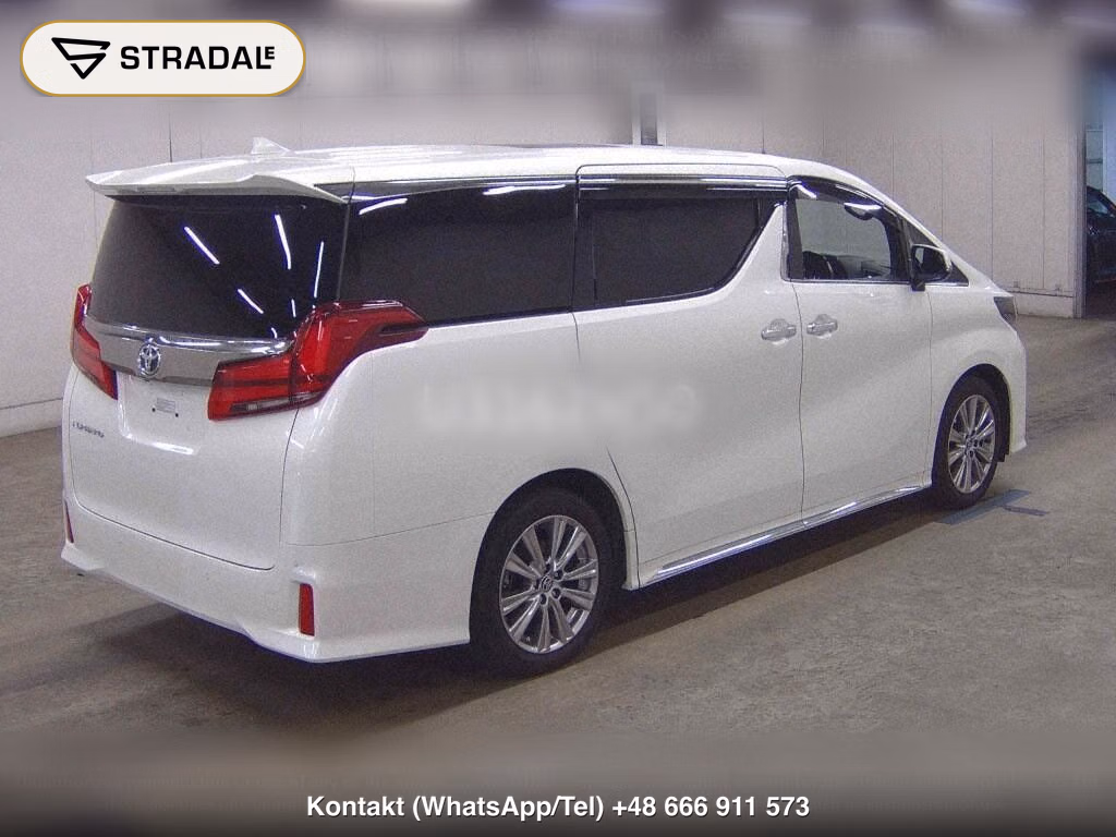 TOYOTA ALPHARD 2.5S TYPE GOLD, miniaturka 6