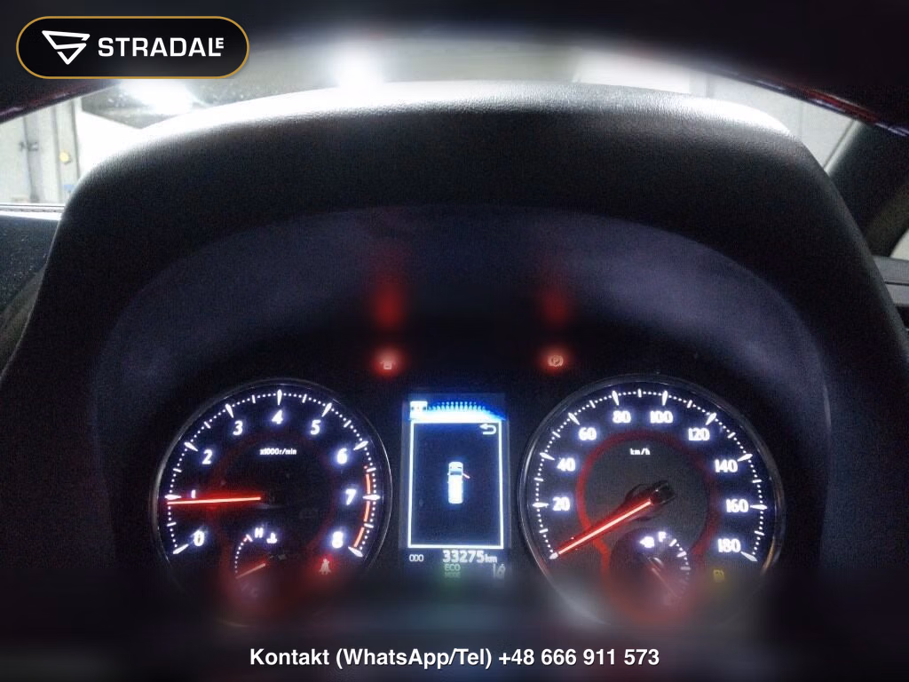 TOYOTA ALPHARD 2.5S TYPE GOLD, miniaturka 7