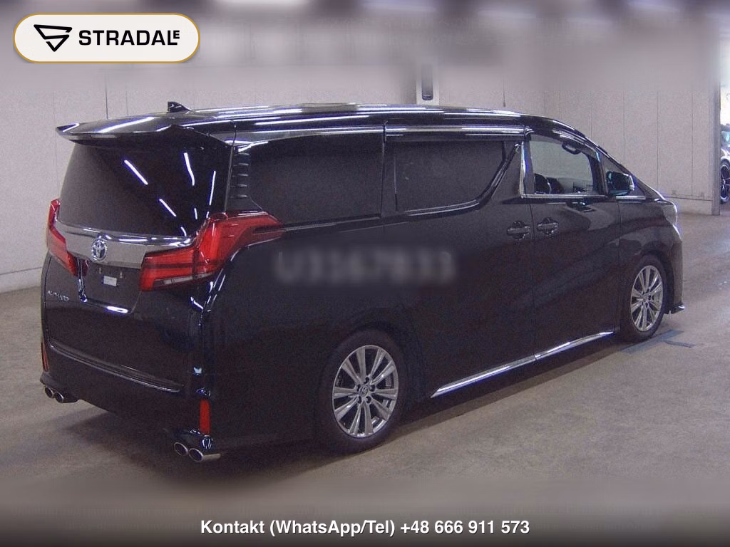 TOYOTA ALPHARD 2.5S TYPE GOLDⅡ, miniaturka 6
