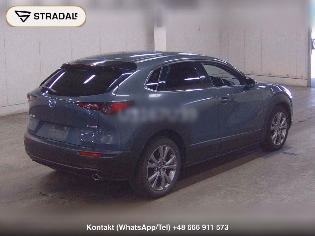 MAZDA CX-30 20S PROACTIVE TOURING SELECTION, miniaturka 6