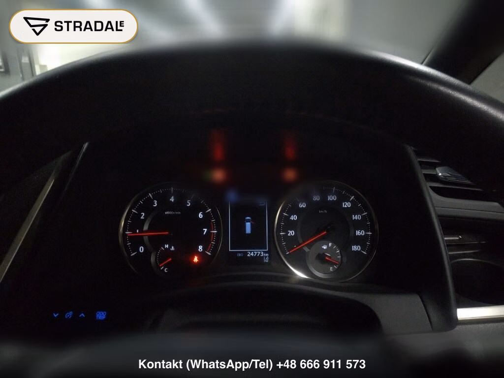 TOYOTA ALPHARD S TYPE GOLDⅢ, miniaturka 7
