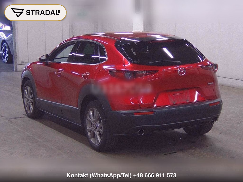 MAZDA CX-30 XD PROACTIVE TOURING SELECTION, miniaturka 3